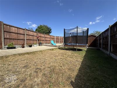 Picture 33